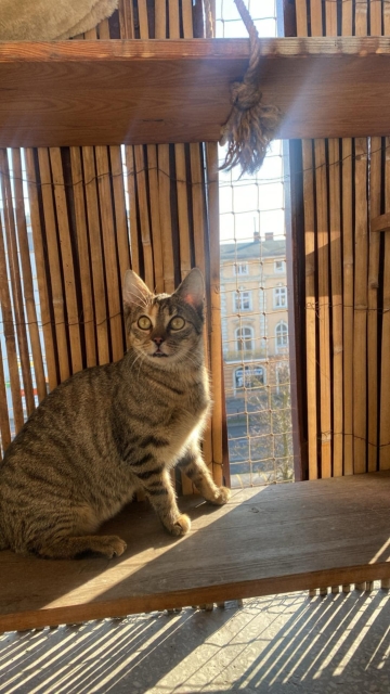 Ofelia