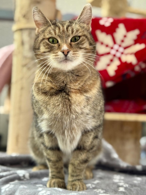 Lila