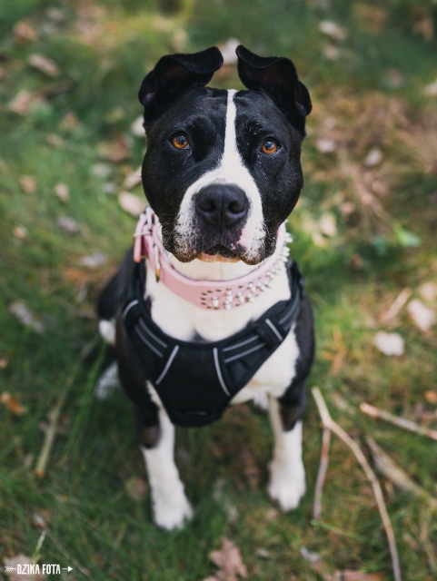 Fiona